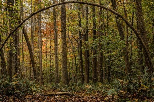Archway Photography Art | Kimberly Umstead Photography