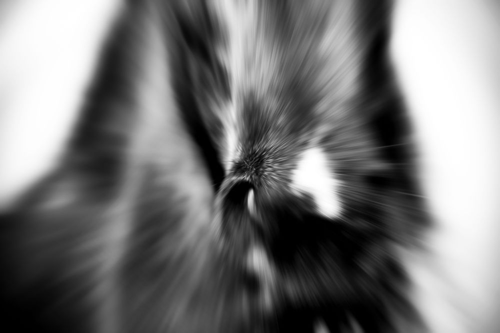 Zoom Nostril Photography Art | Kimberly Umstead Photography