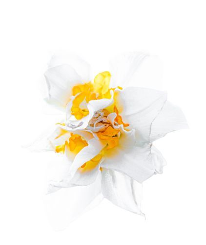 Mdawmdawmdawmdaw7qgraepd6cacehr zcfbfywxu2fyveayeunrgwctqqqltnerwweter6yomfiojy24adow ljj7f22f2vd2s3k0fn 38ezqodftc2xeuhdjufahdziomokxodj3hs jg da6ji5eudq olwagpj5emn5duiuzpiwlubcvyx9jp5fndtbrdbxisdpvupkptoobwoznw kydbjz7qsosaaklyfwi m2bl ghfqh6uvubbpjqzilucflwulyo8akewlyndpbcjgmhw f438bmtxrgekhz6jlpyuozc3n0epaoihsqprhp4c