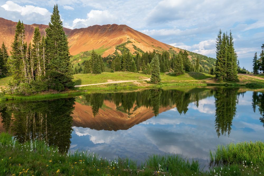 Nature Photography Art | Michelle Leslye Photography