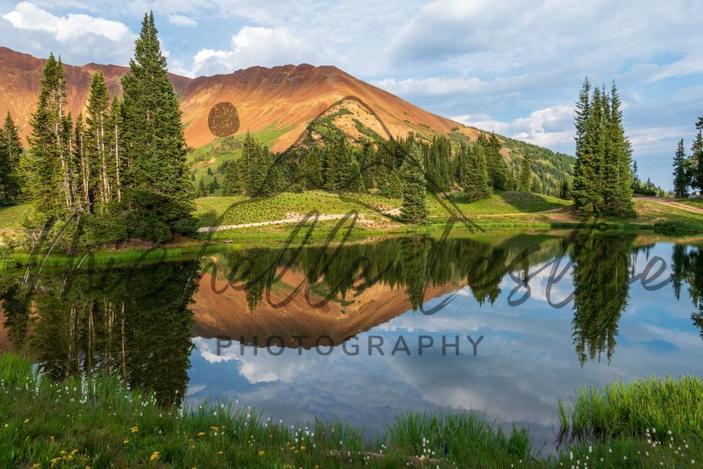 Crested Butte Colorado 6 Photography Art | Michelle Leslye Photography
