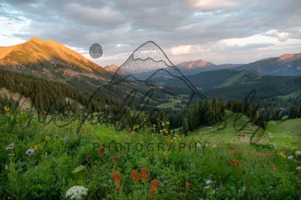 Peaks Of Gold, Fields Of Color,  Crested Butte Photography Art | Michelle Leslye Photography