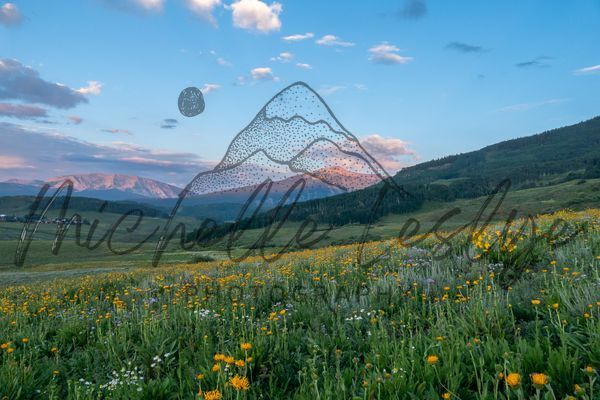 First L Ight, Fresh Blooms Crested Butte Photography Art | Michelle Leslye Photography