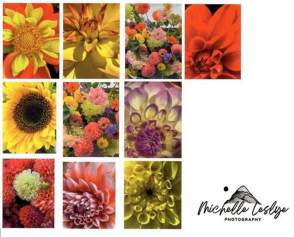 Flower Notecards | Michelle Leslye Photography