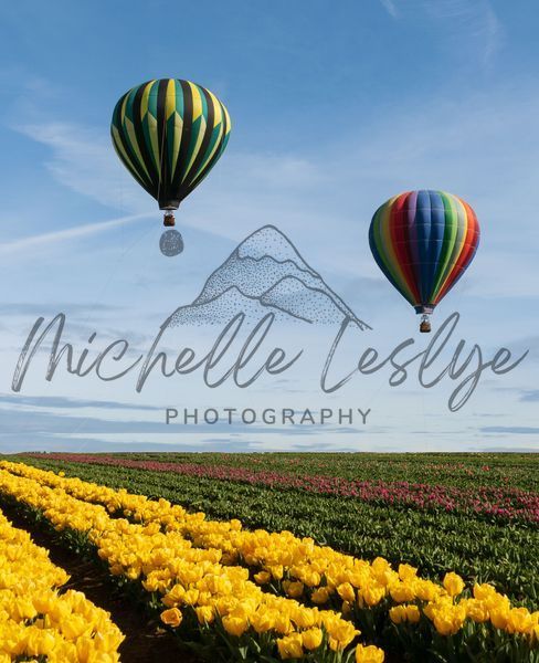 Floating Over Color Photography Art | Michelle Leslye Photography