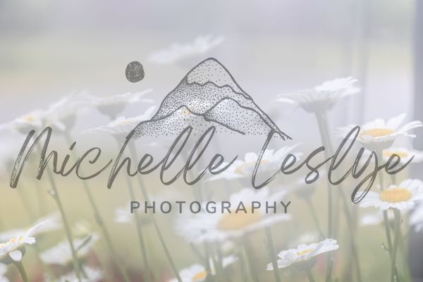 Daisies In Dreamlight Photography Art | Michelle Leslye Photography