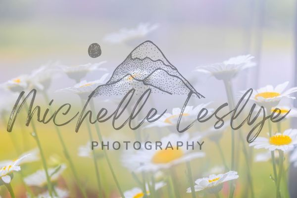 Petals In The Breeze Photography Art | Michelle Leslye Photography
