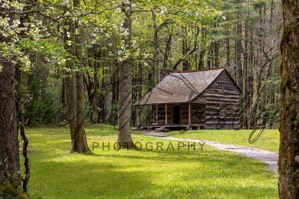 Pathway To Stillness Photography Art | Michelle Leslye Photography