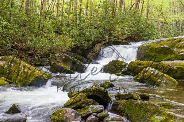 Whispering Falls Photography Art | Michelle Leslye Photography