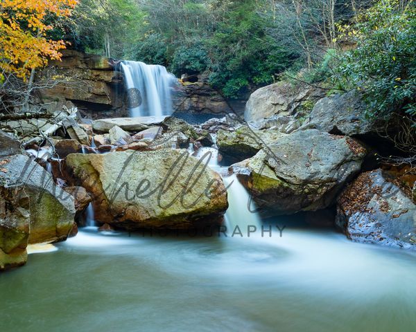 Autumn Flow Photography Art | Michelle Leslye Photography