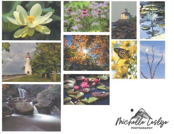 Nature Notecards | Michelle Leslye Photography