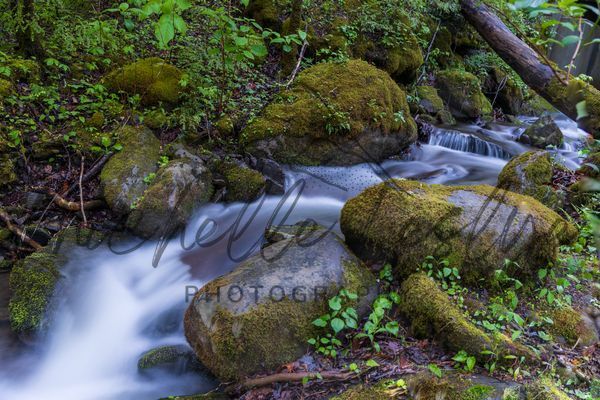 Silent Drift Photography Art | Michelle Leslye Photography