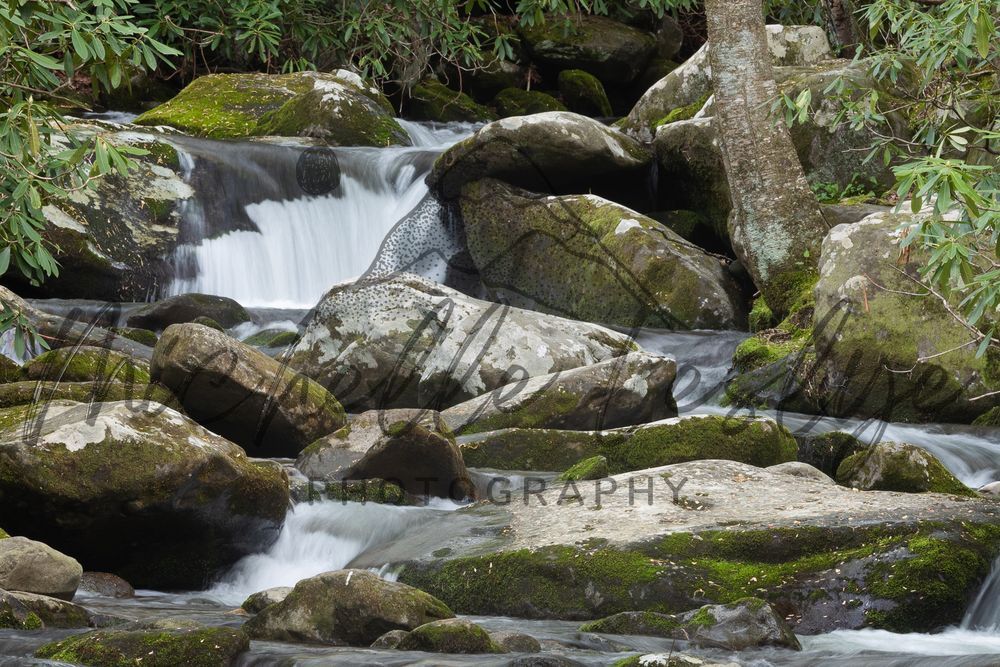 Dreamwater Photography Art | Michelle Leslye Photography