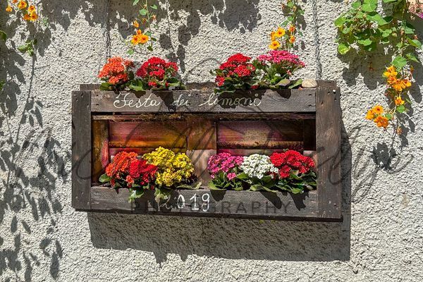 Petals In The Post Box Photography Art | Michelle Leslye Photography