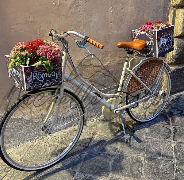 Bicycle Blooms Photography Art | Michelle Leslye Photography
