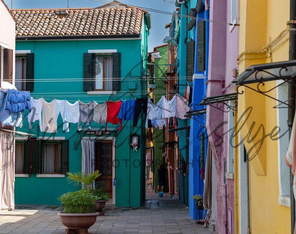 Tangled In Color Photography Art | Michelle Leslye Photography