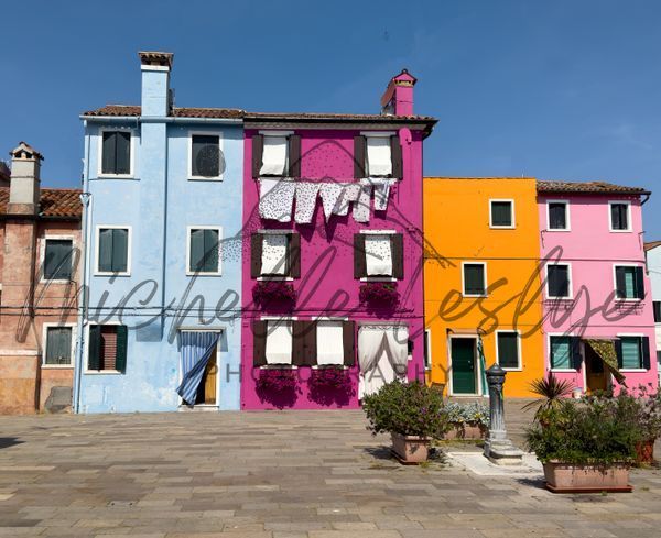 Four Colors One Story Photography Art | Michelle Leslye Photography