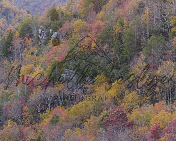 Autumn Splendor At Lindy Point West Virginia Photography Art | Michelle Leslye Photography