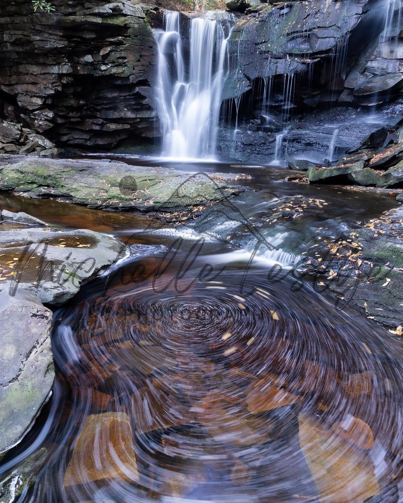 Whirling Leaves At Elakala Falls Photography Art | Michelle Leslye Photography