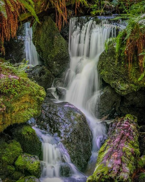 Humboldt County