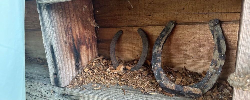 
        <div class='title'>
          Horseshoes
        </div>
       
        <div class='description'>
          
        </div>
      