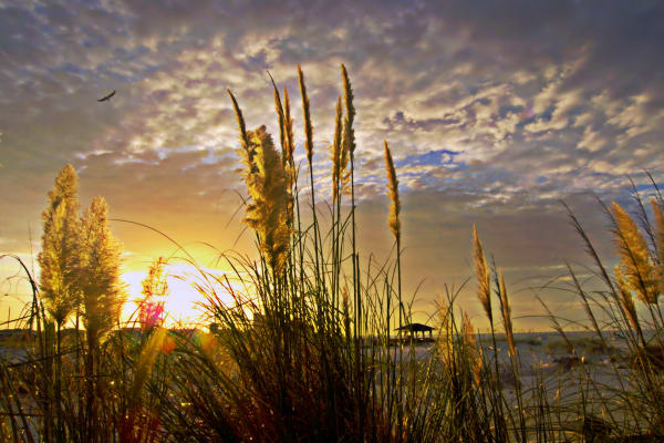Beach Sunset