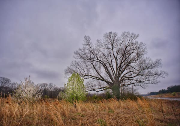 The Fall Fields