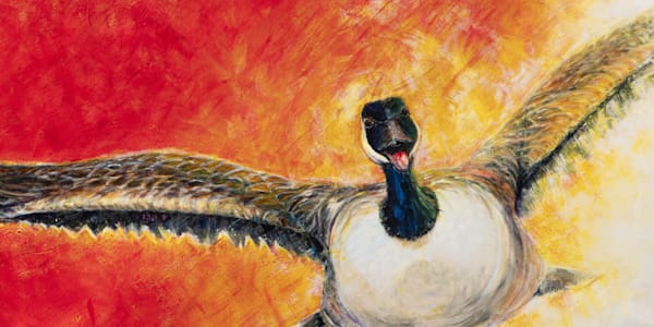 Branta Angled Art | Angela Birdsell Art