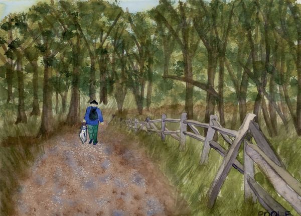 Landscapes