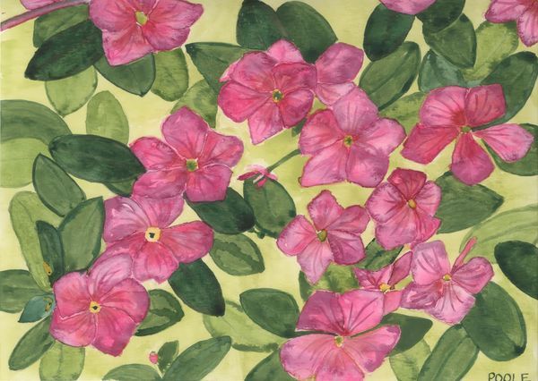 Florals