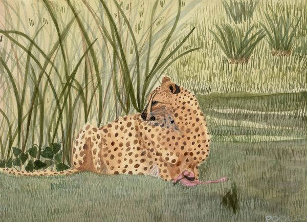 Wildlife