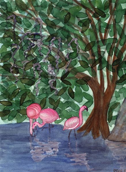Birds