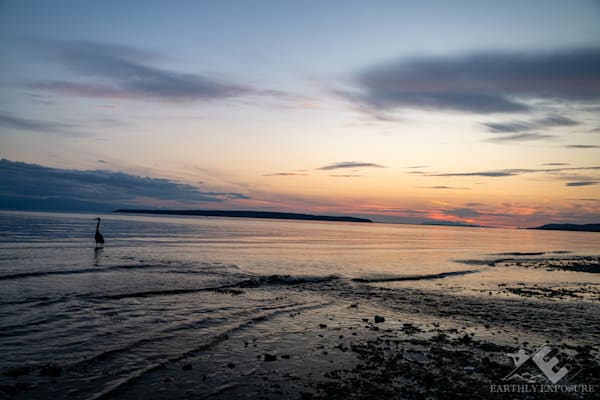 Heron Sunset Photography Art | Earthly Exposure