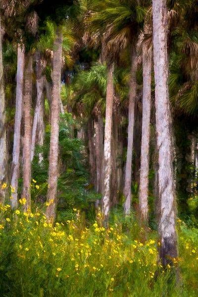 Wildflowers In Palms Photography Art | Reg Garner Photography