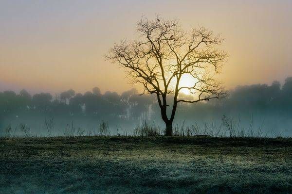 Early Birds 2 Photography Art | Reg Garner Photography