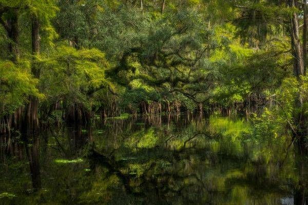 Magical Deep Creek Photography Art | Reg Garner Photography