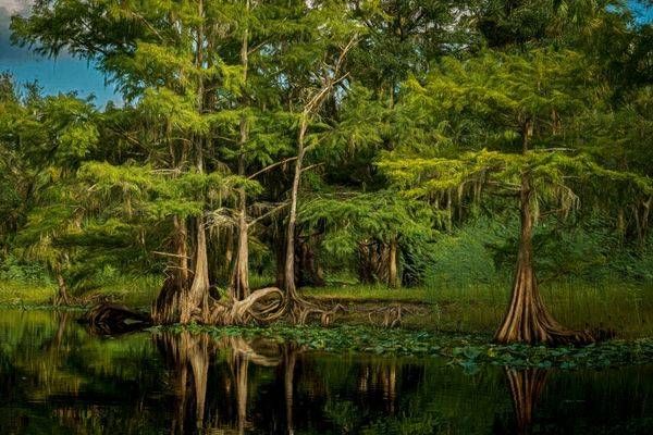 Magical Deep Creek 2 Photography Art | Reg Garner Photography