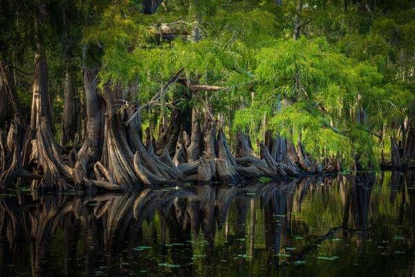 Magical Deep Creek 3 Photography Art | Reg Garner Photography