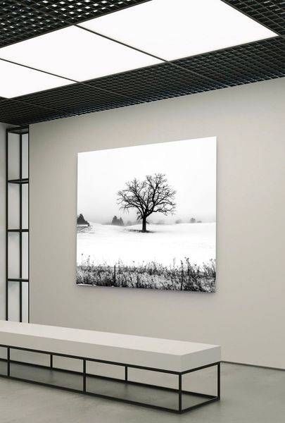 Snowy Contrast Photography Art | JMason Studio