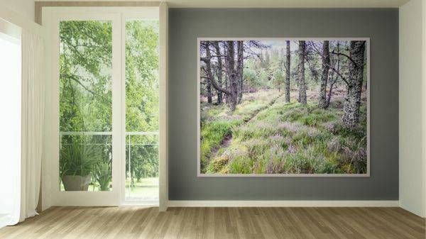 Heather Woodland Photography Art | JMason Studio