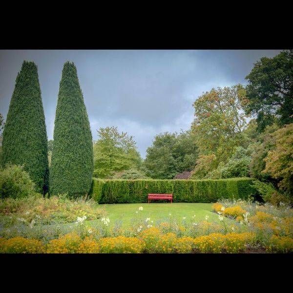 Garden Stillness I Photography Art | JMason Studio