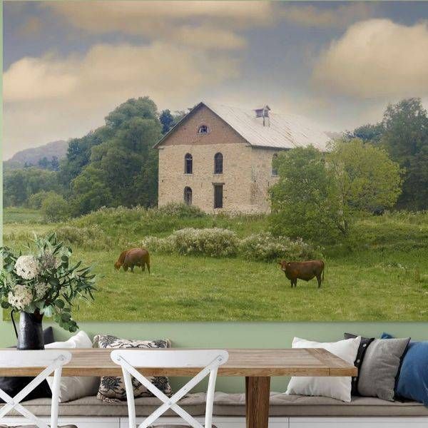 Grazing I * Photography Art | JMason Studio