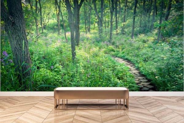 A Walk In The Woods * Photography Art | JMason Studio