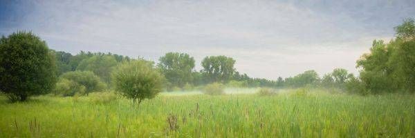Morning Stillness Photography Art | JMason Studio