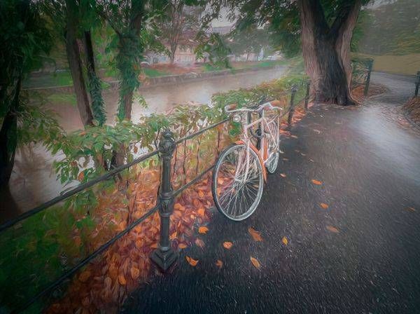 Still Morning * Photography Art | JMason Studio