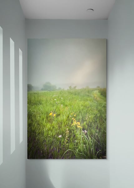 Foggy Morning Iii* Photography Art | JMason Studio
