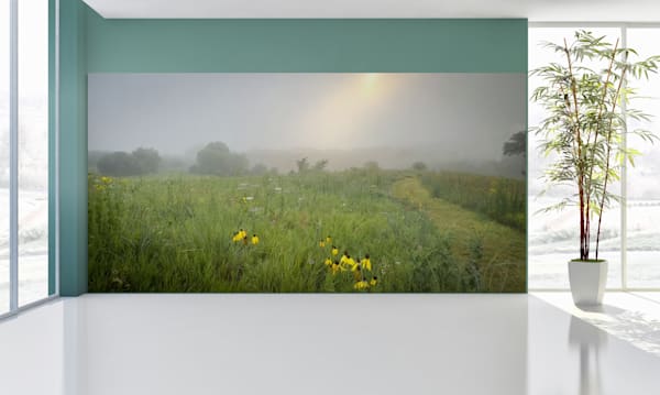 Foggy Morning I* Photography Art | JMason Studio