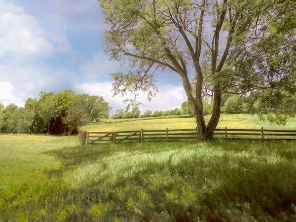 Prairie & Meadows