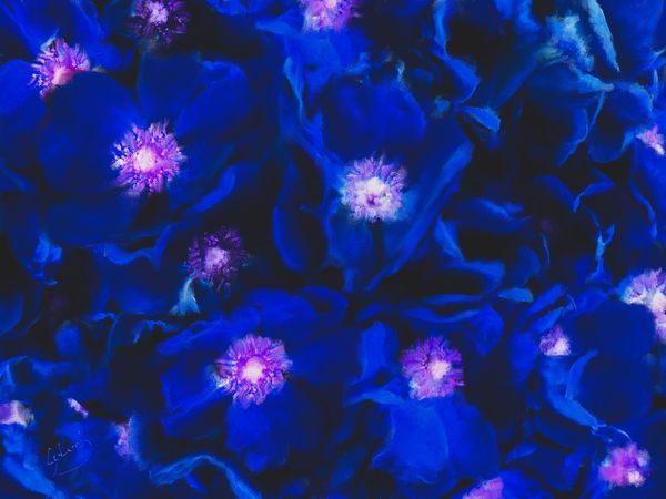 The Garden Fantasies Collection