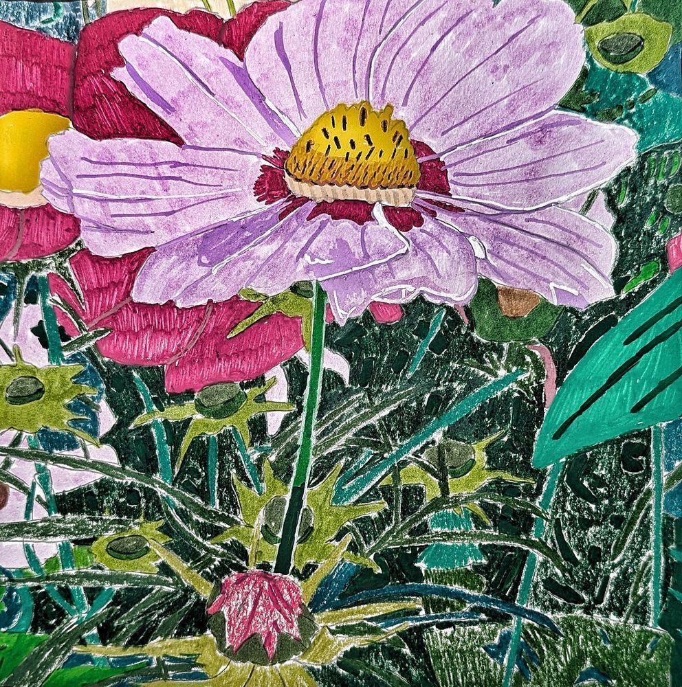 Gardenveil Cosmos – Blooming Marvelous May Cosmos Flower Art by Justyn Simon